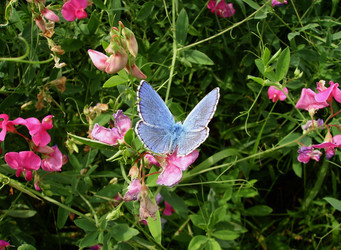 Similar image 1032977