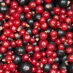 Similar image 1033009