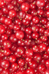 Similar image 1033014