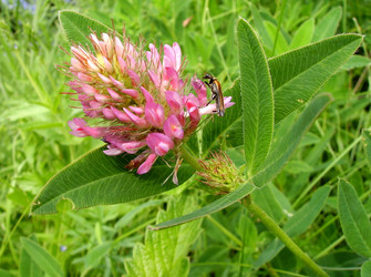 Similar image 1033054