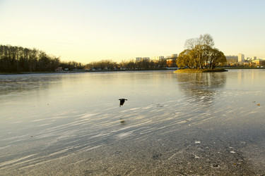 Similar image 1033097