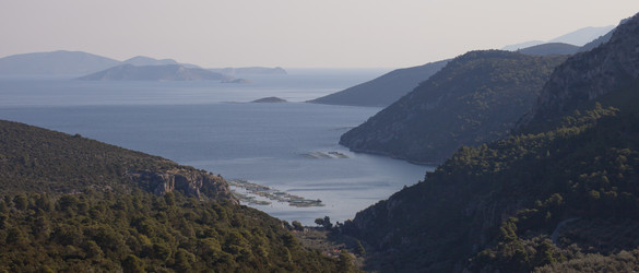 Similar image 1033126