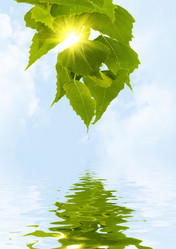 Similar image 1033135