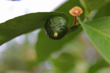 Similar image 1033145