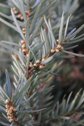 Similar image 1033147