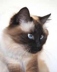 Similar image 1033168