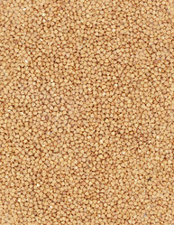 Similar image 1033178