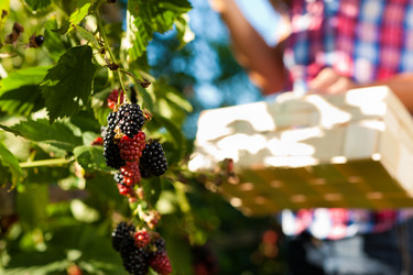 Similar image 1033183