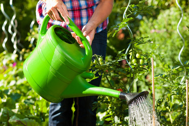 Similar image 1033193