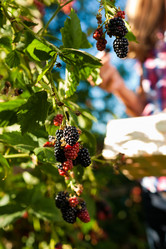 Similar image 1033196