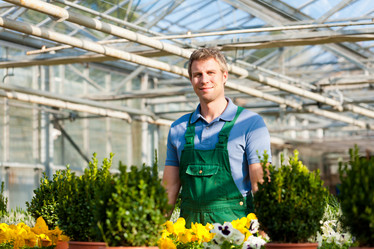 Similar image 1033227