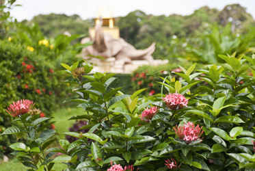 Similar image 1033257