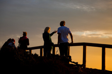 Similar image 1033292