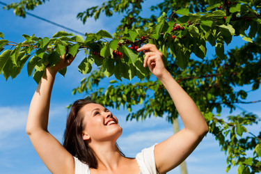 Similar image 1033344