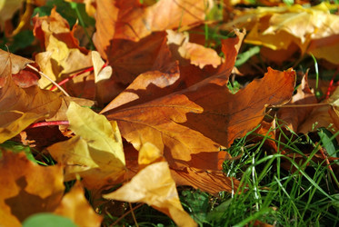 Similar image 1033440