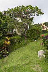 Similar image 1033442