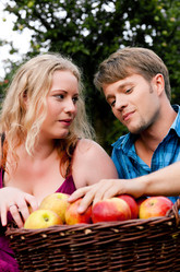 Similar image 1033482