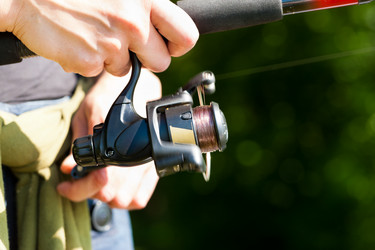 Similar image 1033599