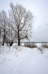 Similar image 1033666