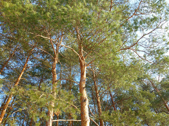 Similar image 1033668