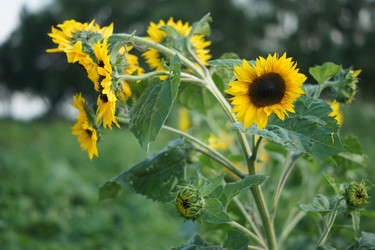 Similar image 1033858