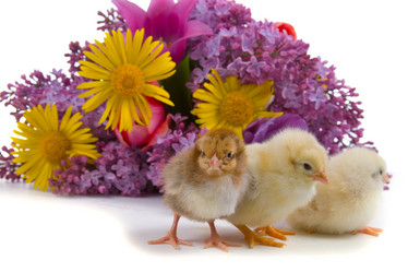 Similar image 1033896