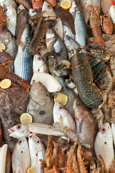 Similar image 1033929