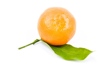 Similar image 1034046