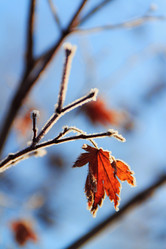 Similar image 1034113