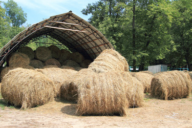 Similar image 1034184