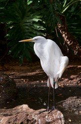 Similar image 1034222