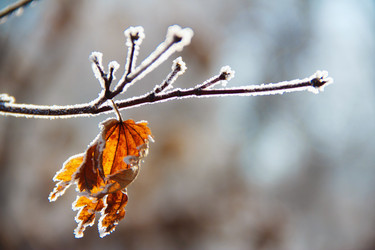 Similar image 1034231