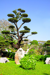 Similar image 1034241