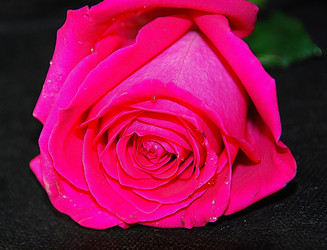 Similar image 1034277