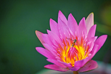 Similar image 1034296