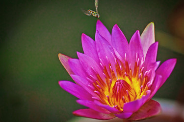 Similar image 1034297