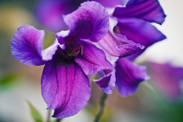 Similar image 1034298