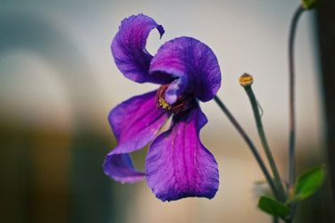 Similar image 1034299