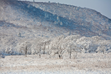 Similar image 1034312