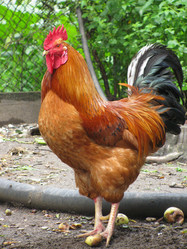 Similar image 1034366