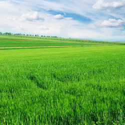 Similar image 1034398