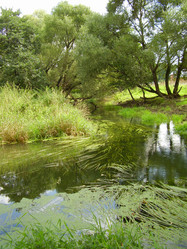 Similar image 1034410