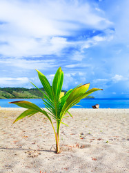 Similar image 1034413