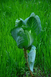 Similar image 1034451