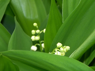 Similar image 1034484