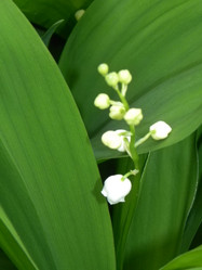 Similar image 1034486