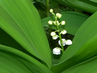 Similar image 1034487