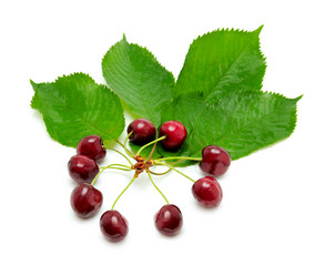 Similar image 1034490