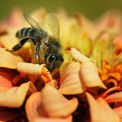 Similar image 1034505