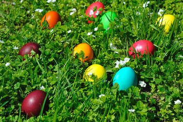 Similar image 1034568